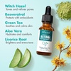 image:imageEbanel Hyaluronic Acid Serum for Face with Peptides Niacinamide Vitamin C108 Fl Oz Pack of 1
