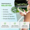 image:imageEbanel Menthol Arnica Gel Pain Relief Cream Roll On with Camphor Hemp Oil356 Ounce Pack of 1