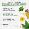 image:imageEbanel Menthol Arnica Gel Pain Relief Cream Roll On with Camphor Hemp Oil356 Ounce Pack of 1
